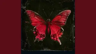 RED HALO (SAINT X REMIX)
