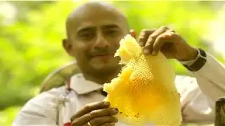Apicultura Division de una colmena y creacion de un nucleo