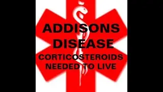 Sick day rules for Addison's disease Flash video