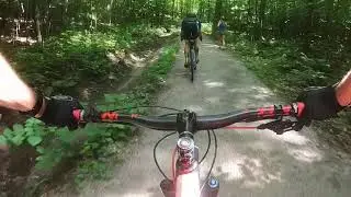 Descent penguin: start top of the hill #1 to Or&eacute;e du bois