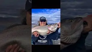Monster #trout at #pyramidlake : Biggest cutthroat in the world!