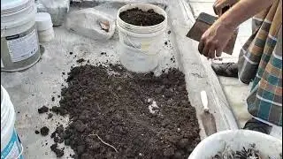 Sand Preparation for  plants