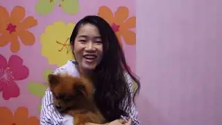 DONT WATCH THIS !!! if you want happiness ...... (CC MULTI LANGUAGE)