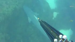 Pesca Submarina en el Estrecho de Gibraltar desde Tierra Unas veces se gana otras veces se aprende