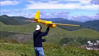 20170903 rc glider full scratch Schweizer 1-26 by ラジ絶さん