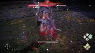 Wo Long: Tai chi, dual sabre, ng+3 moral0