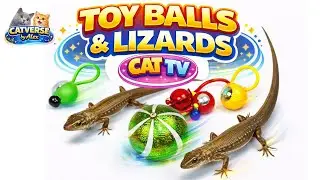 Cat GAME  TV 🐾 | Lizard & Moving Toy Balls for Cats | 3 Hours