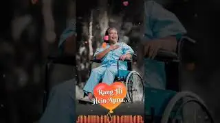 International Disability Day 2020👩&zwj;🦽 status. || Every year it is celebrated on 3rd December.