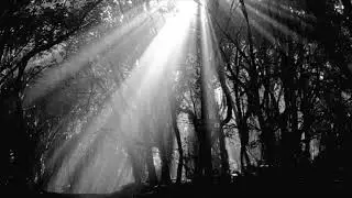 Dark Light a Neo Classical Darkscape Track Modal Electronics Argon8