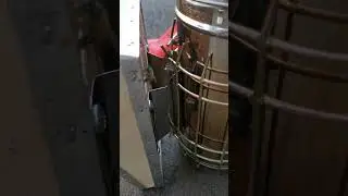 Bee Cleanup Crew: When Honey Spills on Your Smoker 🍯🐝 (Oops!)