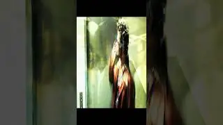 Если вы видите этот монтаж, значит, так и должно быть #бойцовскийклуб #БрэдПитт #монтаж