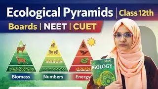 Ecological Pyramids easiest explanation on YouTube🔥Ecology Class12th |NEET| CUET|Boards #biology