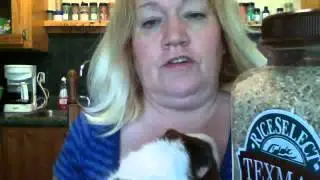 Texmati Rice Review