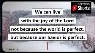The Perfect Savior for an Imperfect World (John 2:11): YouTube Sermon Shorts
