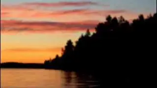 Timi Lexikon - J&auml;lkitauti