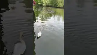 Tivoli park ,Ljubljana Slovenia