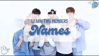 learn/test yourself on tws members' names!