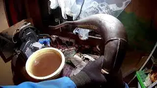 Apikan paisarin kiillottelua