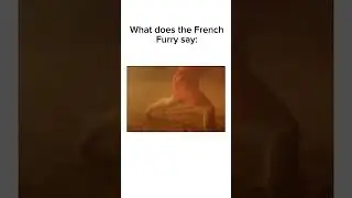 What does the French furry say #comedy #papaoutai #memes #shorts #funny