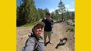 Reno's First Hike Ebbetts Pass