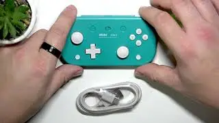 8BitDo Lite 2 &ndash; С чем он совместим?