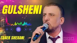 Tarek Shexani 2024 | Gulsheni | طارق شيخاني جديد | كولشيني