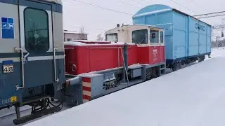 Tka7 217 + Eipt 27374 + Tve1 408 + Gbln 464089-2
