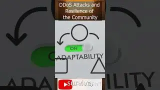 DDoS Attacks and Resilience of the Community