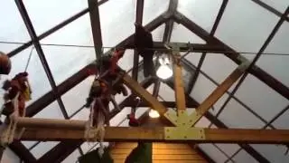 Walk in Aviary