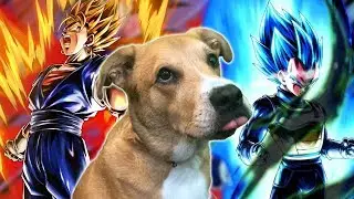 BUSTER LUCK Returns for Super Vegito Summons in Dragon Ball Legends