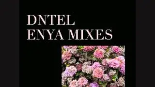 Dntel - On Your Shore (Enya Mixes)