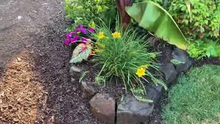 Should I add a rock border to my gardens?