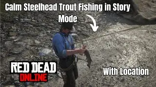 Calm Steelhead Trout Fishing in Story Mode / With Location | Red Dead Redemption