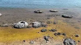 Yanchep National Park, The Pinnacles & Kalbarri National Park, West-Australië 