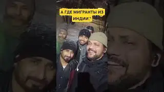 ТАК А ГДЕ МИГРАНТЫ ИЗ ИНДИИ? #мигранты #india