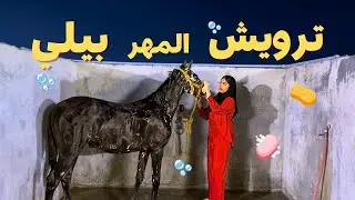 كيف تروّش مهر صغير بدون خوف | أسرع طريقة وآمنة 100٪؜
