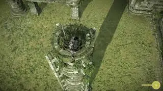 SHADOW OF THE COLOSSUS - Excellent Grip