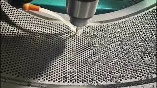 China Manufactures Screw Type Ring Die Pellet Machine Customized