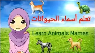 Discover Arabic: Animal Names Adventure! 🐾🌟