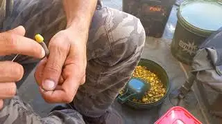 Carpfishing Summer session in Alfarofia...
