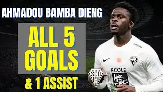 Ahmadou Bamba Dieng - ALL 5 GOALS & ASSISTS FOR ANGERS | Skills & Highlights
