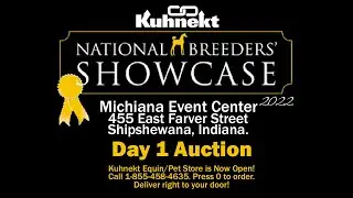 National Breeders Showcase 2022 - Auction of Mares, Stallions and Breeding Shares