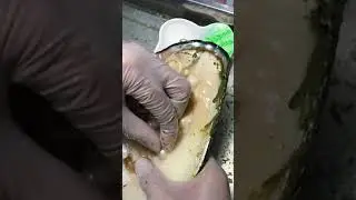 To show you the fresh water pearls we have grown for 8 years, we can take out a lot of pearl