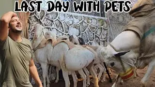 Salaar dilraj price? - Going karachi peechy say kon weron ka khiyal rakhy ga? - JNTV Vlogs