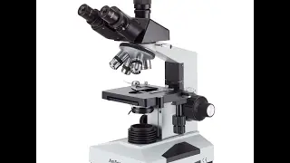 AmScope T490B Compound Trinocular Microscope, 40X-2000X Magnification,...