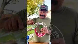 Get fired up with this Jalape&ntilde;o Vodka shot (Tito&rsquo;s) 🥃 #bbq #texas #vodka