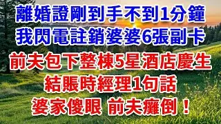 離婚證剛到手不到1分鐘，我閃電註銷婆婆6張副卡，前夫包下整棟5星酒店慶生，結賬時經理一句話，婆家傻眼 前夫癱倒！#詩涵講故事#為人處世#生活經驗#情感故事#晚年哲理#說故事#完結文#原創故事