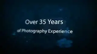 Wedding Pictures and Professional Photographer in Phoenix and Glendale AZ