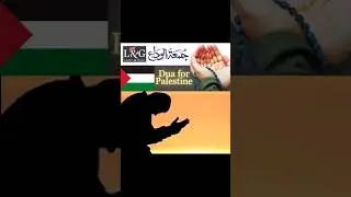 In the spirit of Ramadan and Jummah-tul-Wida, let's unite in dua for Palestine 🤲 #palestine