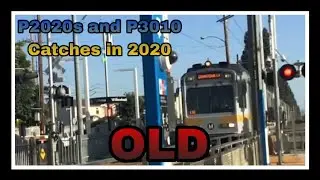 (50th Video) LACMTA Metro A line P3010 catches and P2020s (OLD)